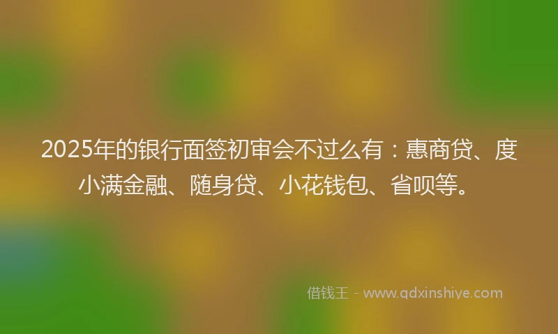 2025年的银行面签初审会不过么有：惠商贷、度小满金融、随身贷、小花钱包、省呗等。