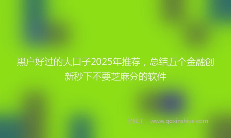 黑户好过的大口子2025年推荐，总结五个金融创新秒下不要芝麻分的软件
