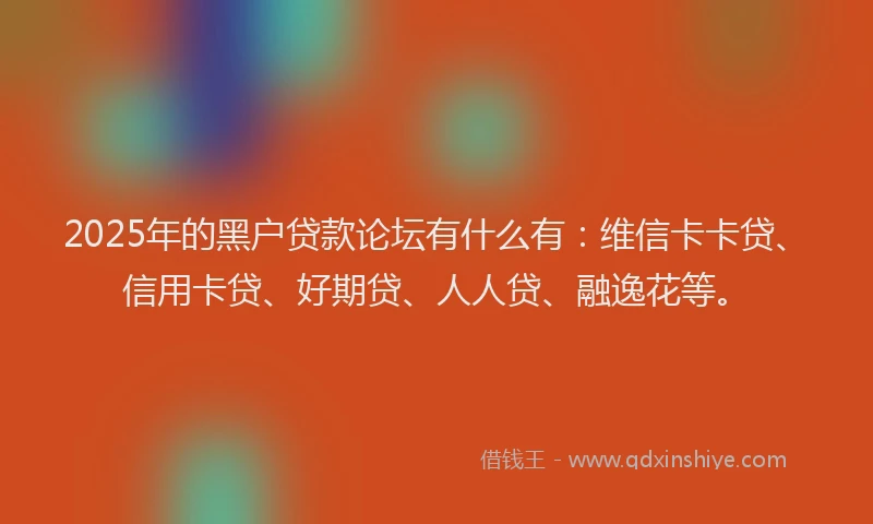 2025年的黑户贷款论坛有什么有：维信卡卡贷、信用卡贷、好期贷、人人贷、融逸花等。