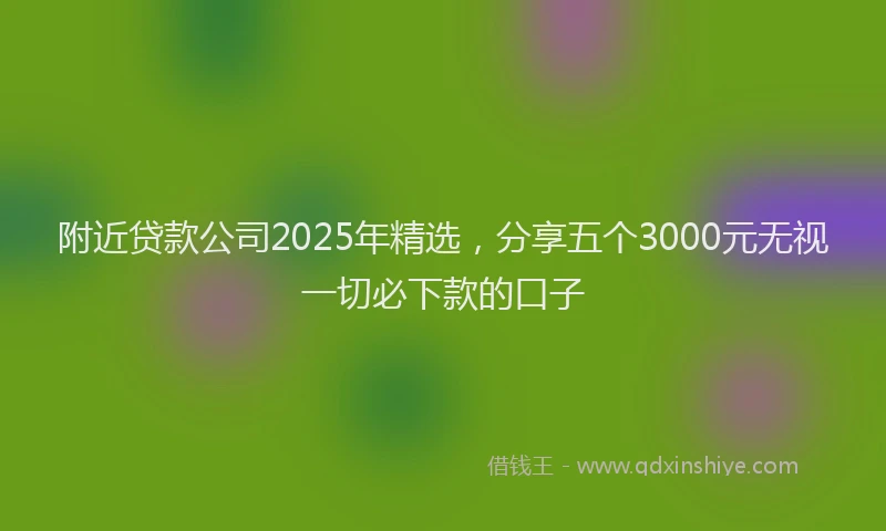 附近贷款公司2025年精选，分享五个3000元无视一切必下款的口子