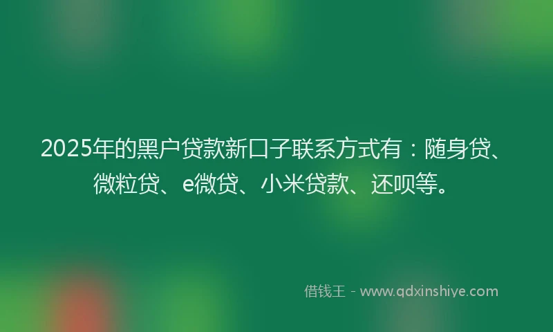 2025年的黑户贷款新口子联系方式有：随身贷、微粒贷、e微贷、小米贷款、还呗等。