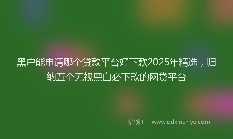 黑户能申请哪个贷款平台好下款2025年精选，归纳五个无视黑白必下款的网贷平台