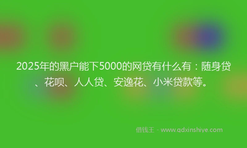 2025年的黑户能下5000的网贷有什么有：随身贷、花呗、人人贷、安逸花、小米贷款等。