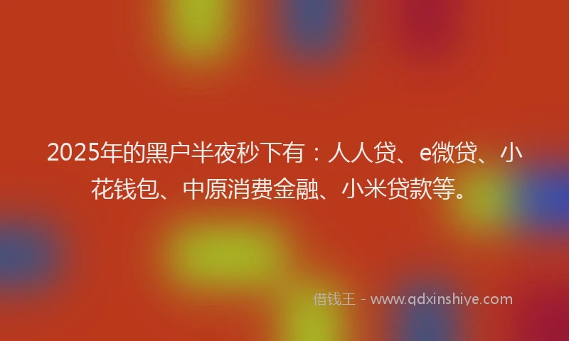 2025年的黑户半夜秒下有：人人贷、e微贷、小花钱包、中原消费金融、小米贷款等。
