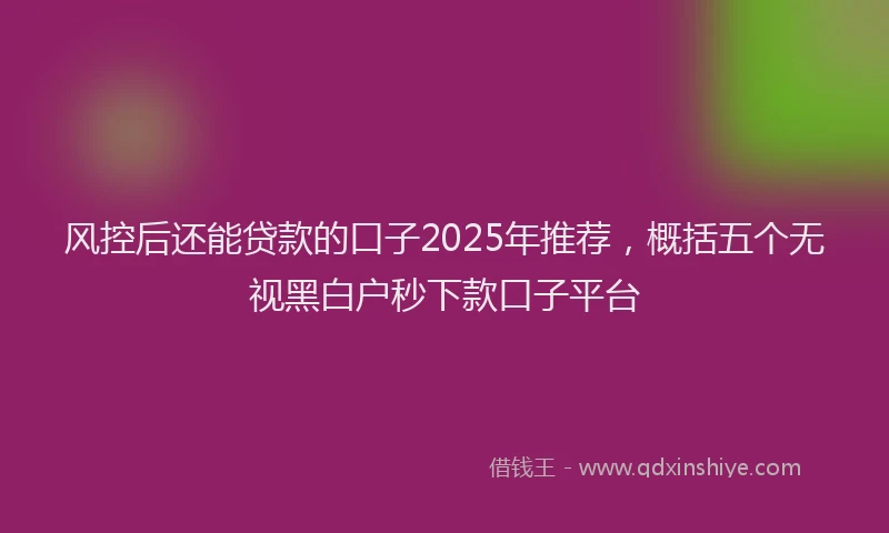 风控后还能贷款的口子2025年推荐，概括五个无视黑白户秒下款口子平台