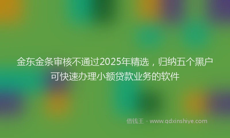 金东金条审核不通过2025年精选，归纳五个黑户可快速办理小额贷款业务的软件