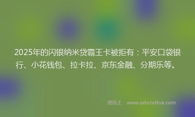 2025年的闪银纳米贷霸王卡被拒有：平安口袋银行、小花钱包、拉卡拉、京东金融、分期乐等。
