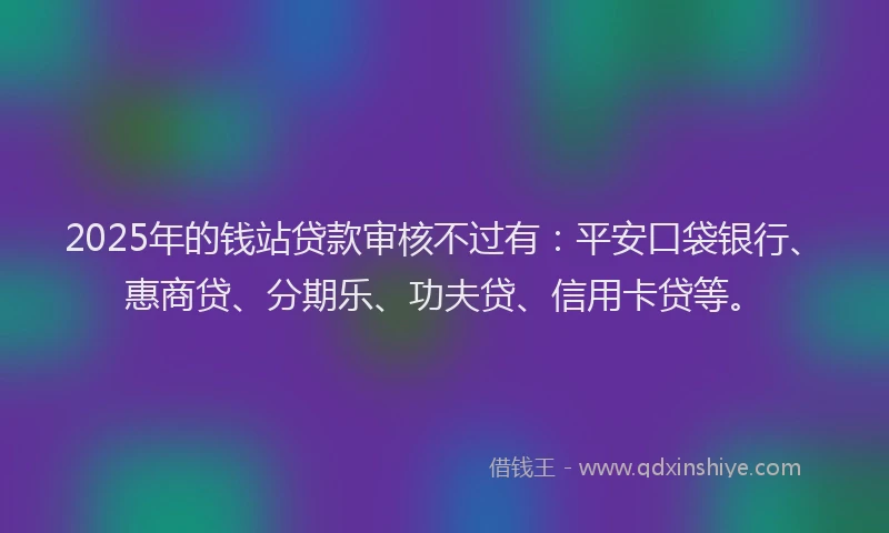 2025年的钱站贷款审核不过有：平安口袋银行、惠商贷、分期乐、功夫贷、信用卡贷等。