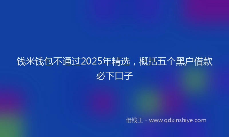 钱米钱包不通过2025年精选，概括五个黑户借款必下口子