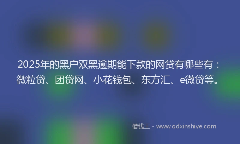 2025年的黑户双黑逾期能下款的网贷有哪些有：微粒贷、团贷网、小花钱包、东方汇、e微贷等。