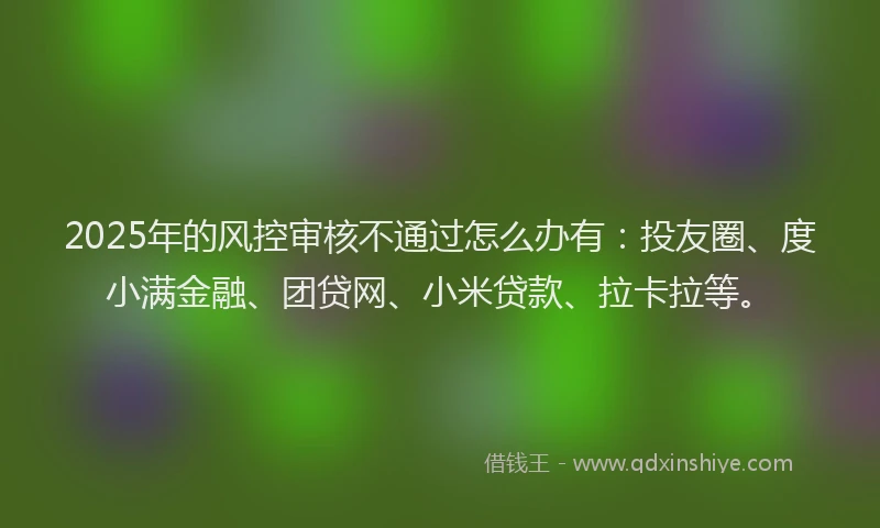 2025年的风控审核不通过怎么办有：投友圈、度小满金融、团贷网、小米贷款、拉卡拉等。