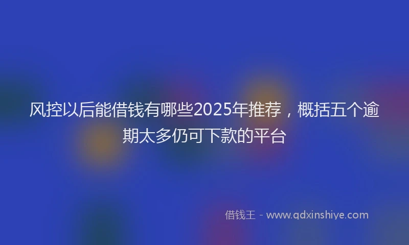 风控以后能借钱有哪些2025年推荐，概括五个逾期太多仍可下款的平台