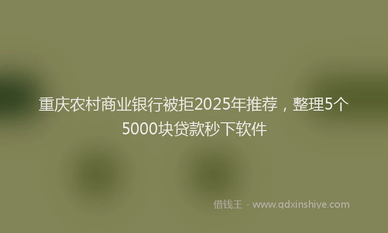 重庆农村商业银行被拒2025年推荐，整理5个5000块贷款秒下软件