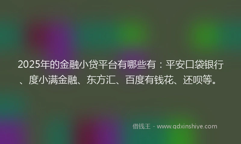 2025年的金融小贷平台有哪些有：平安口袋银行、度小满金融、东方汇、百度有钱花、还呗等。