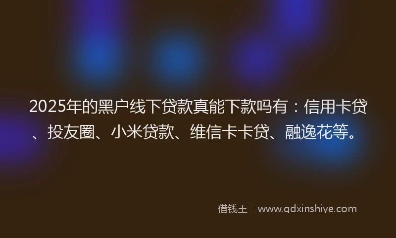 2025年的黑户线下贷款真能下款吗有：信用卡贷、投友圈、小米贷款、维信卡卡贷、融逸花等。