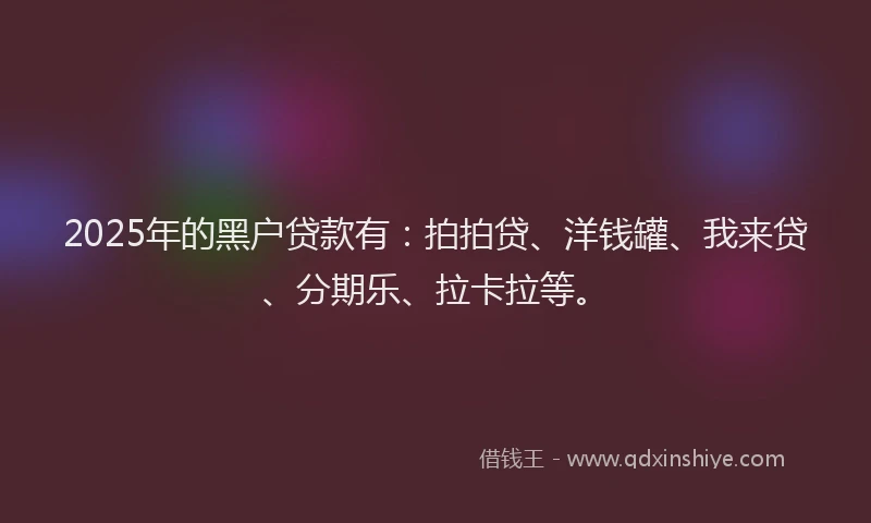 2025年的黑户贷款有：拍拍贷、洋钱罐、我来贷、分期乐、拉卡拉等。