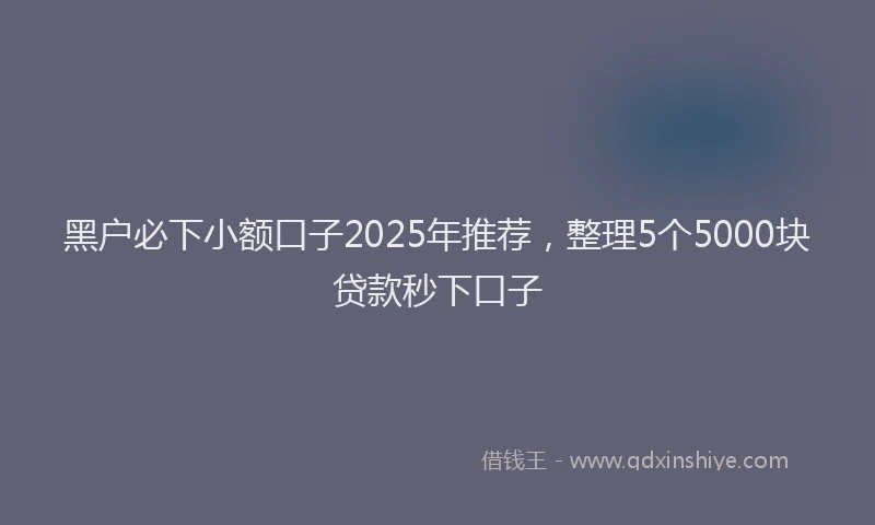 黑户必下小额口子2025年推荐，整理5个5000块贷款秒下口子