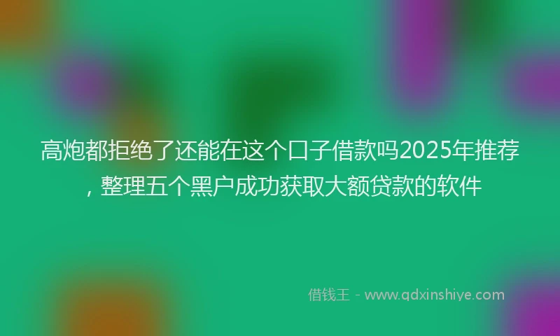 高炮都拒绝了还能在这个口子借款吗2025年推荐，整理五个黑户成功获取大额贷款的软件