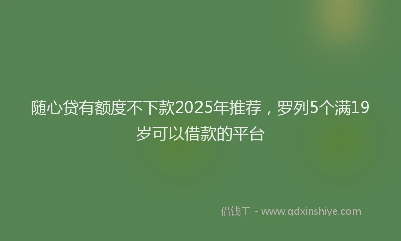 随心贷有额度不下款2025年推荐，罗列5个满19岁可以借款的平台