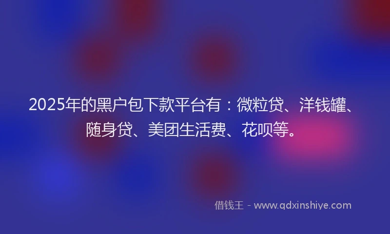 2025年的黑户包下款平台有：微粒贷、洋钱罐、随身贷、美团生活费、花呗等。