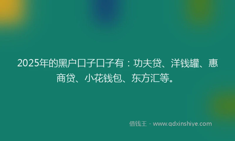 2025年的黑户口子口子有：功夫贷、洋钱罐、惠商贷、小花钱包、东方汇等。