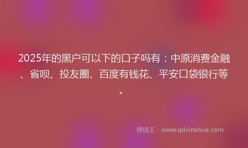 2025年的黑户可以下的口子吗有：中原消费金融、省呗、投友圈、百度有钱花、平安口袋银行等。