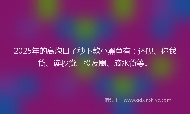 2025年的高炮口子秒下款小黑鱼有：还呗、你我贷、读秒贷、投友圈、滴水贷等。