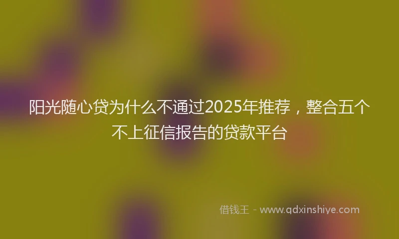 阳光随心贷为什么不通过2025年推荐，整合五个不上征信报告的贷款平台