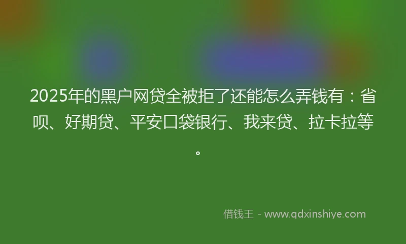 2025年的黑户网贷全被拒了还能怎么弄钱有：省呗、好期贷、平安口袋银行、我来贷、拉卡拉等。
