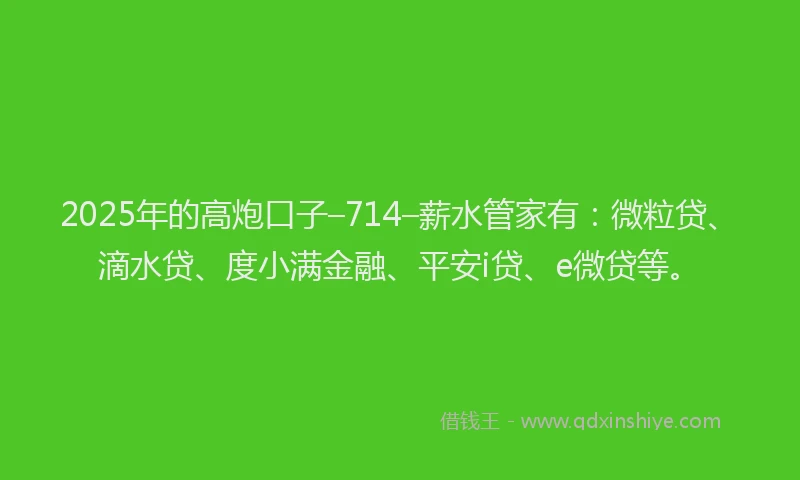 2025年的高炮口子–714–薪水管家有：微粒贷、滴水贷、度小满金融、平安i贷、e微贷等。