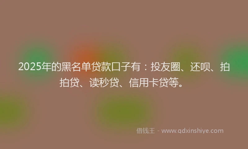 2025年的黑名单贷款口子有：投友圈、还呗、拍拍贷、读秒贷、信用卡贷等。