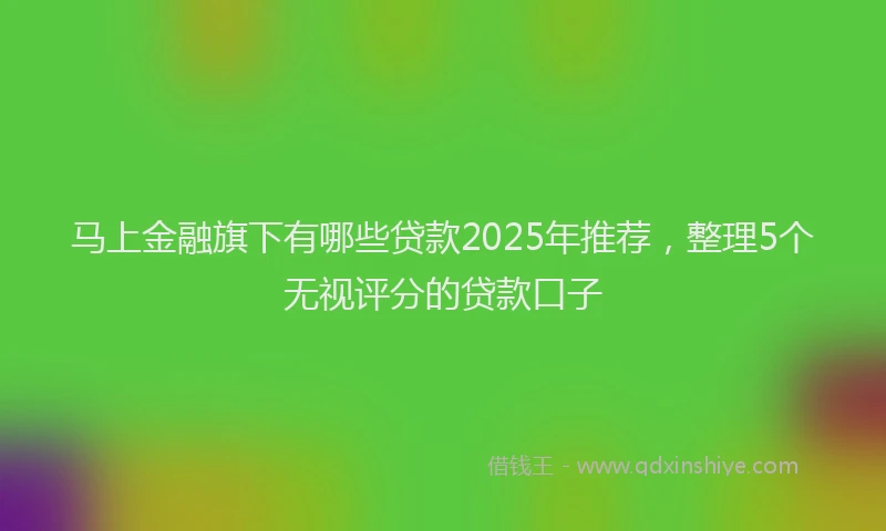 马上金融旗下有哪些贷款2025年推荐，整理5个无视评分的贷款口子