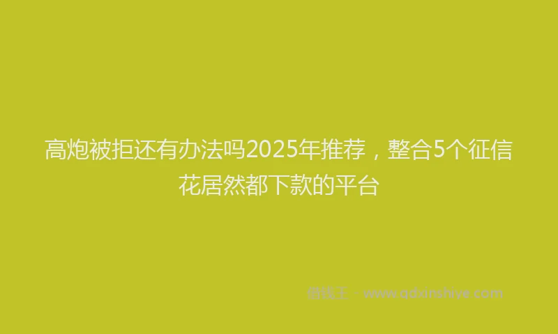 高炮被拒还有办法吗2025年推荐，整合5个征信花居然都下款的平台