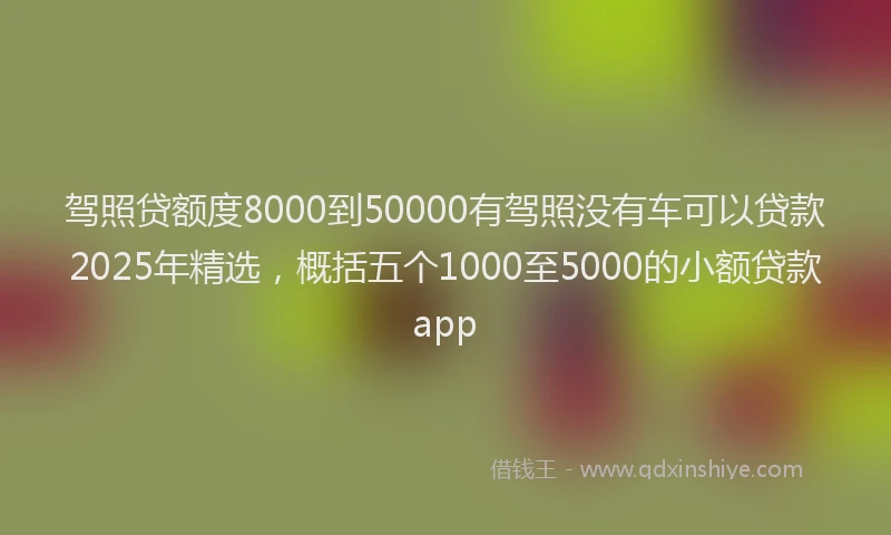 驾照贷额度8000到50000有驾照没有车可以贷款2025年精选，概括五个1000至5000的小额贷款app