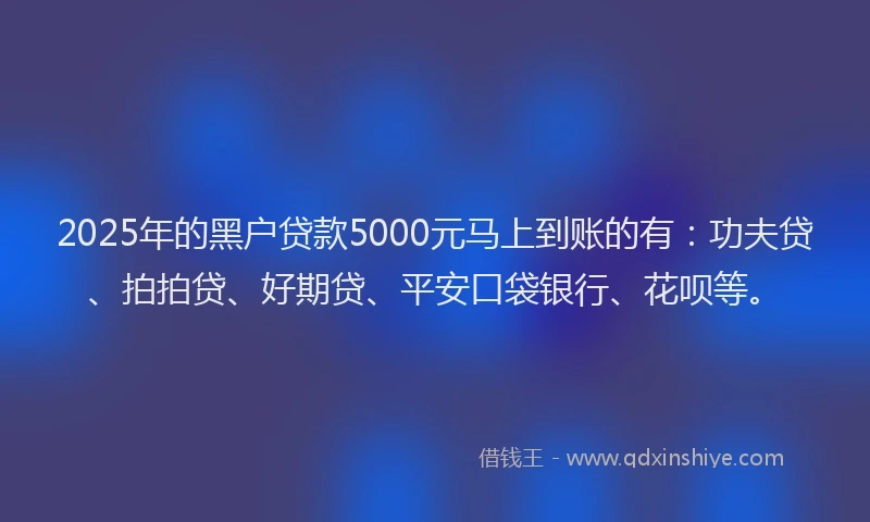 2025年的黑户贷款5000元马上到账的有：功夫贷、拍拍贷、好期贷、平安口袋银行、花呗等。