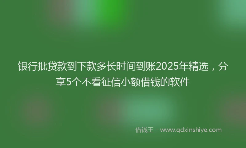 银行批贷款到下款多长时间到账2025年精选，分享5个不看征信小额借钱的软件