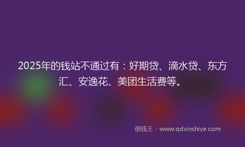2025年的钱站不通过有：好期贷、滴水贷、东方汇、安逸花、美团生活费等。
