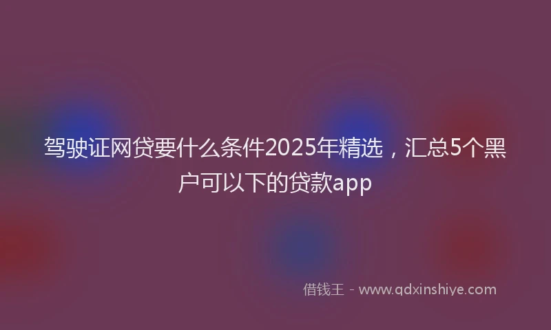 驾驶证网贷要什么条件2025年精选，汇总5个黑户可以下的贷款app