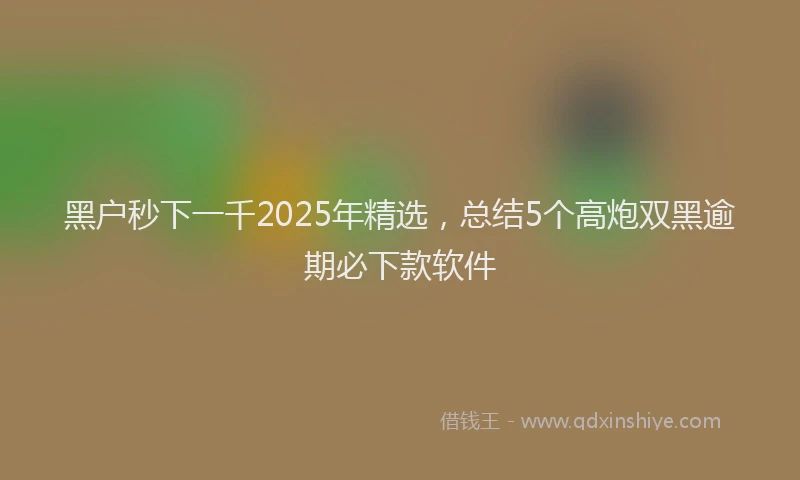 黑户秒下一千2025年精选，总结5个高炮双黑逾期必下款软件