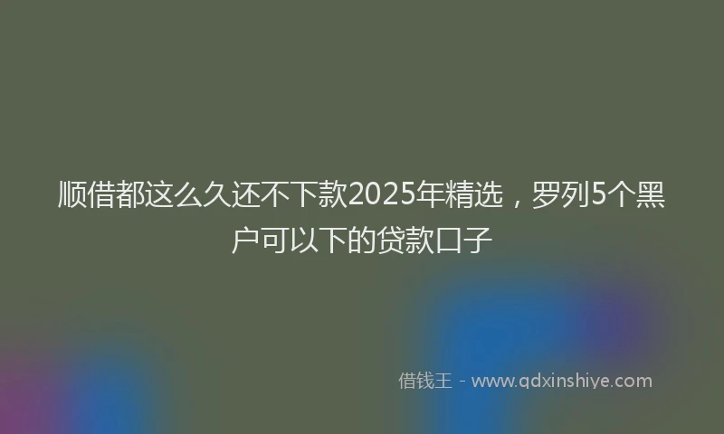 顺借都这么久还不下款2025年精选，罗列5个黑户可以下的贷款口子