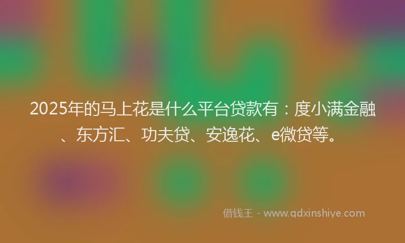 2025年的马上花是什么平台贷款有：度小满金融、东方汇、功夫贷、安逸花、e微贷等。