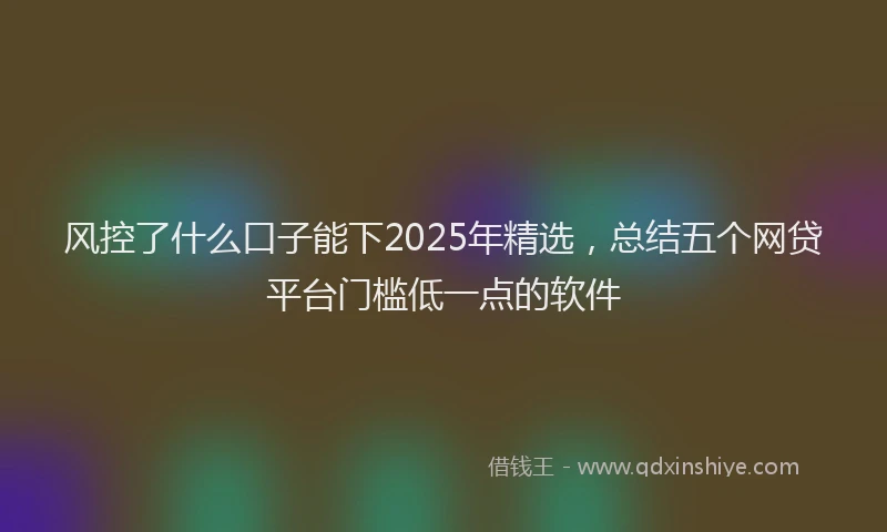 风控了什么口子能下2025年精选，总结五个网贷平台门槛低一点的软件