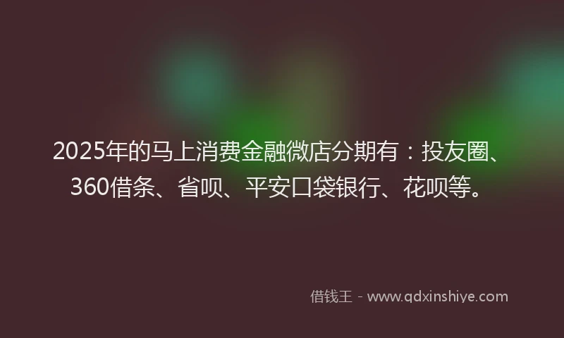 2025年的马上消费金融微店分期有：投友圈、360借条、省呗、平安口袋银行、花呗等。