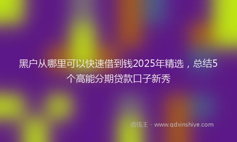 黑户从哪里可以快速借到钱2025年精选，总结5个高能分期贷款口子新秀