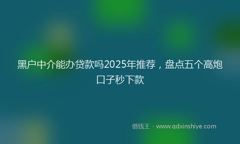 黑户中介能办贷款吗2025年推荐，盘点五个高炮口子秒下款