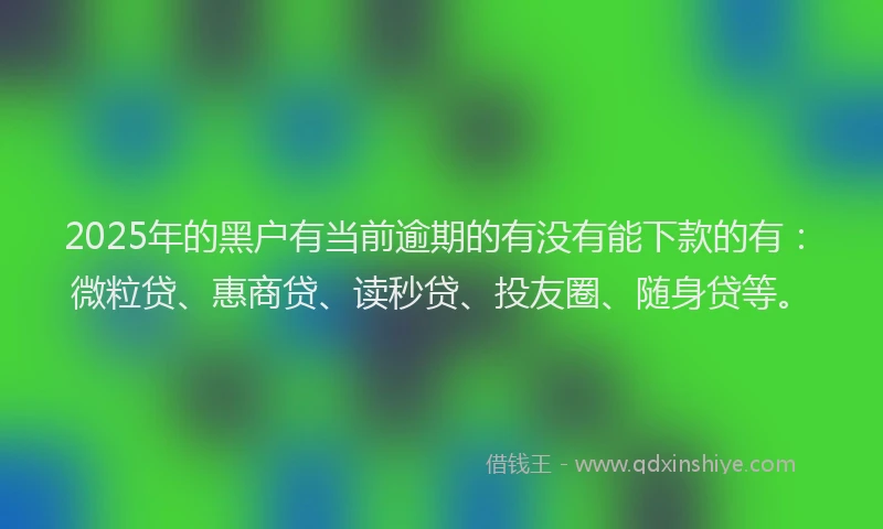 2025年的黑户有当前逾期的有没有能下款的有：微粒贷、惠商贷、读秒贷、投友圈、随身贷等。