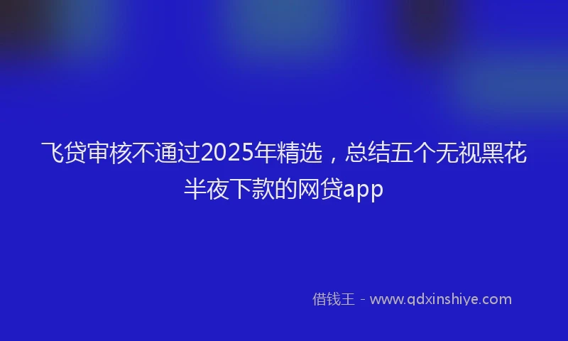 飞贷审核不通过2025年精选，总结五个无视黑花半夜下款的网贷app