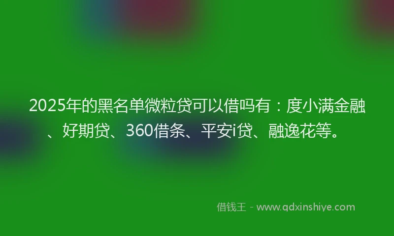 2025年的黑名单微粒贷可以借吗有：度小满金融、好期贷、360借条、平安i贷、融逸花等。