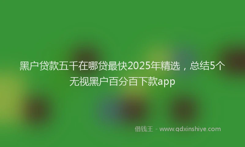 黑户贷款五千在哪贷最快2025年精选，总结5个无视黑户百分百下款app