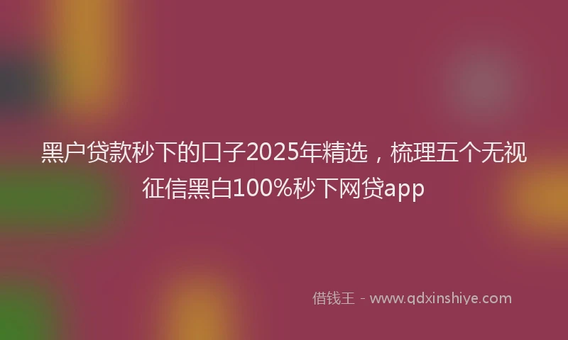 黑户贷款秒下的口子2025年精选，梳理五个无视征信黑白100%秒下网贷app